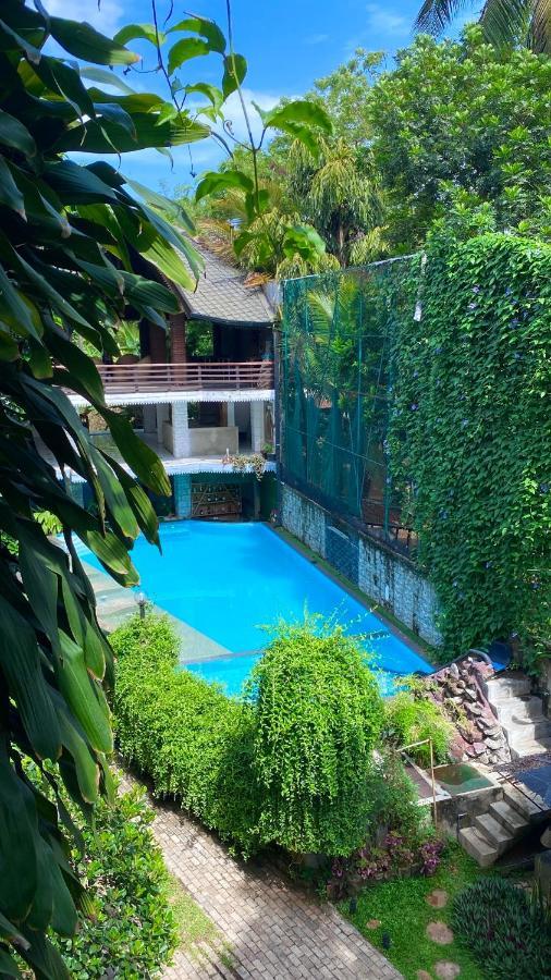 Hotel Tinaya دامبولا المظهر الخارجي الصورة